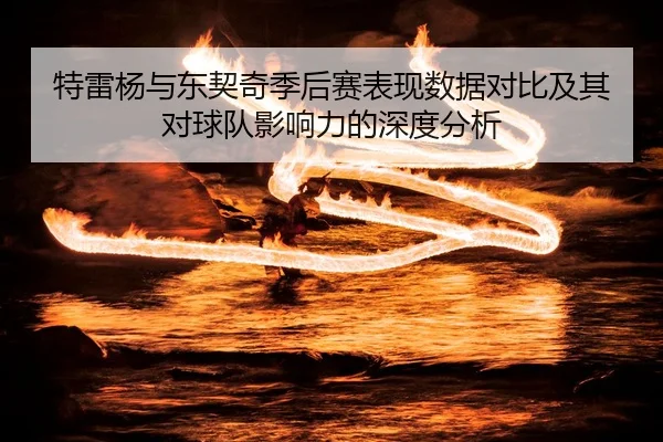 特雷杨与东契奇季后赛表现数据对比及其对球队影响力的深度分析（WENDING ENTERTAINMENT）