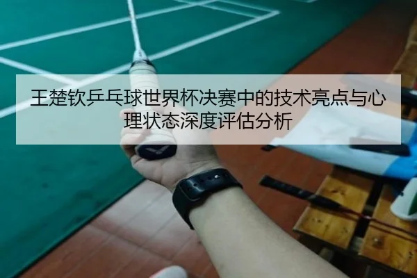 王楚钦乒乓球世界杯决赛中的技术亮点与心理状态深度评估分析（WENDING ENTERTAINMENT）